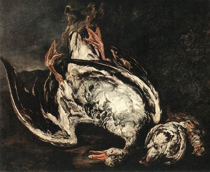 BOEL, Pieter Still-Life with Dead Wild-Duck gfh